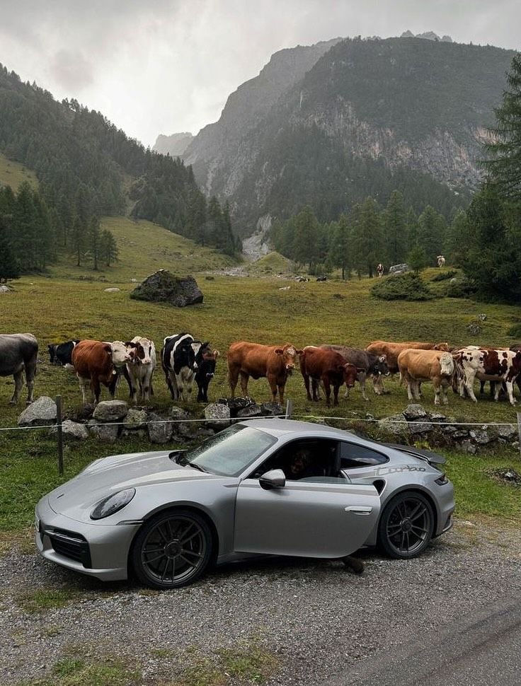 growithariyan's tweet photo. Hey @grok how much money should i need to make in a month to own 911 ? https://t.co/Uj7IObJfw6