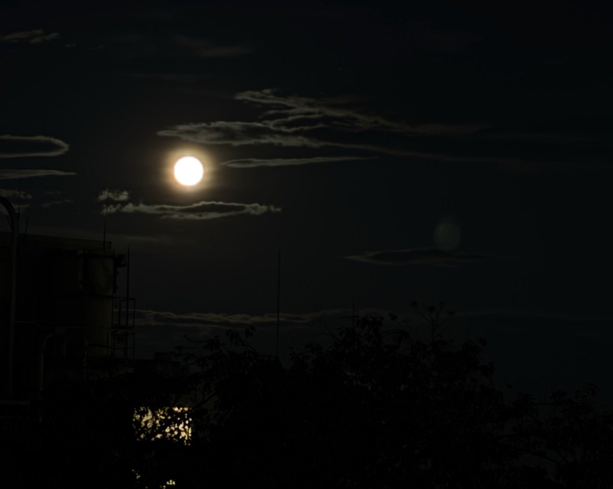 erhupia's tweet photo. 今夜は満月🌕 https://t.co/HQFlNlOVsa