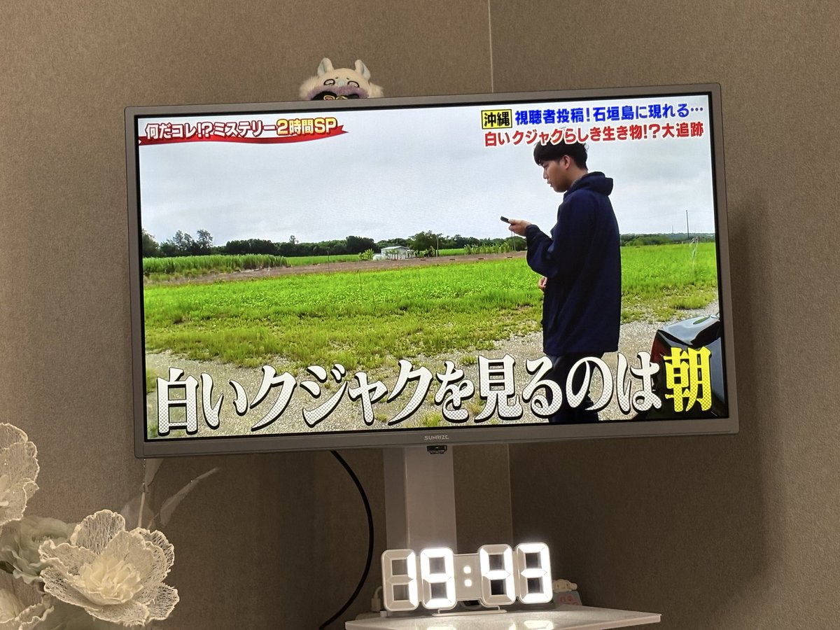 kyaa4649's tweet photo. おはようございます https://t.co/GwFAliBlNb