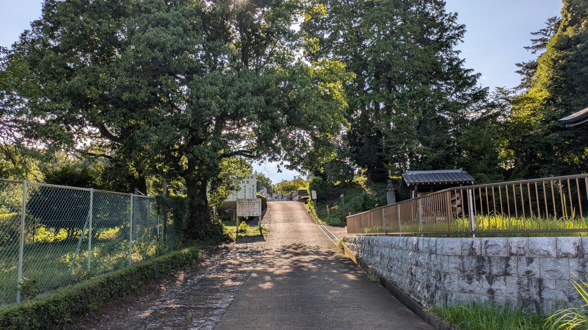 t_ranta's tweet photo. 今日は武蔵村山市の真福寺城を訪れました。
真福寺境内と墓地、第三小学校敷地が城域だったと思われます。
この城は1477年、太田道灌が長尾景春の乱に際し大石氏を攻める為に築いた陣城とされている様です。
多分兵を駐屯する為の陣所で簡易的な物だったと見る向き事もあり、遺構は残って無い様です。 https://t.co/z9Wq1tS6hV
