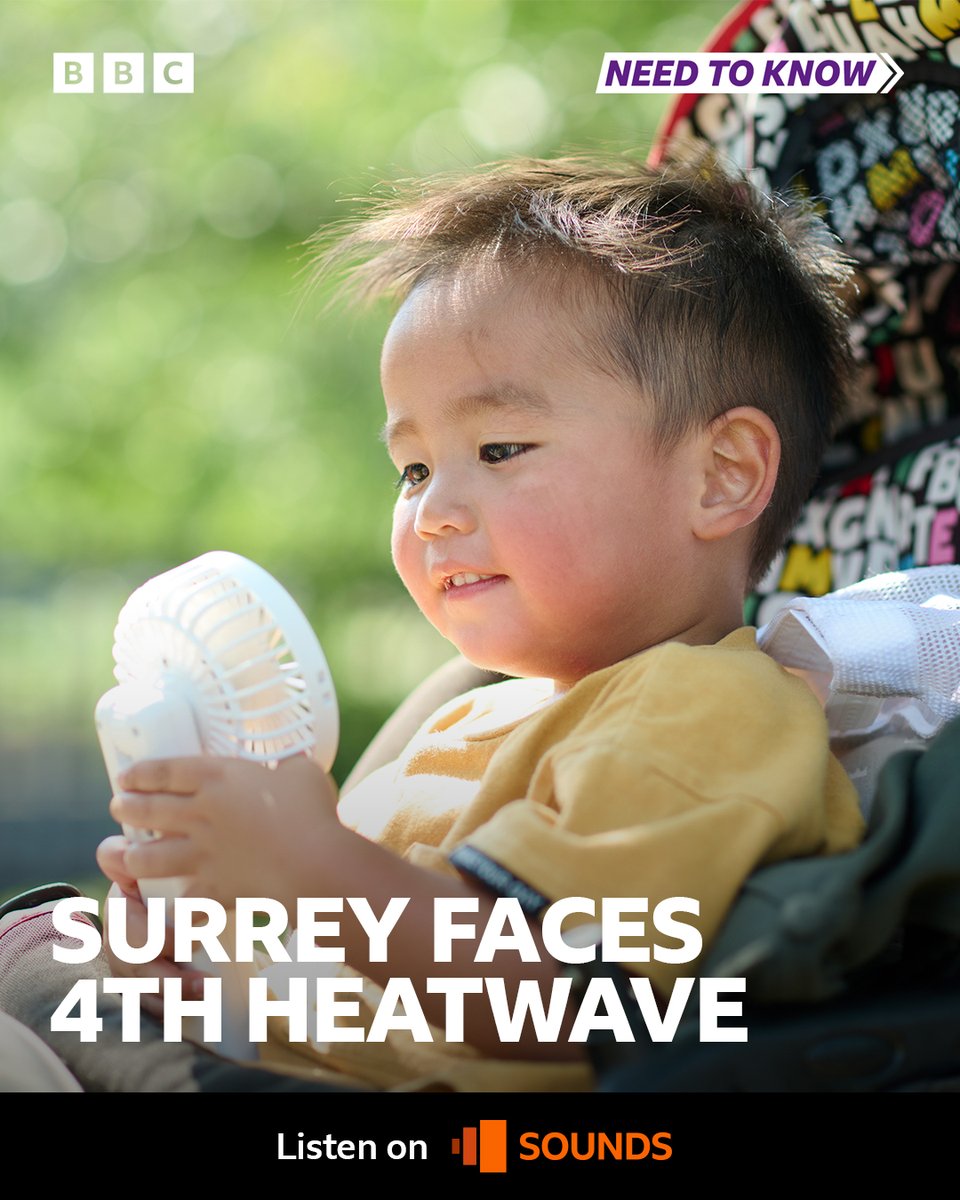 BBC Surrey tweet media