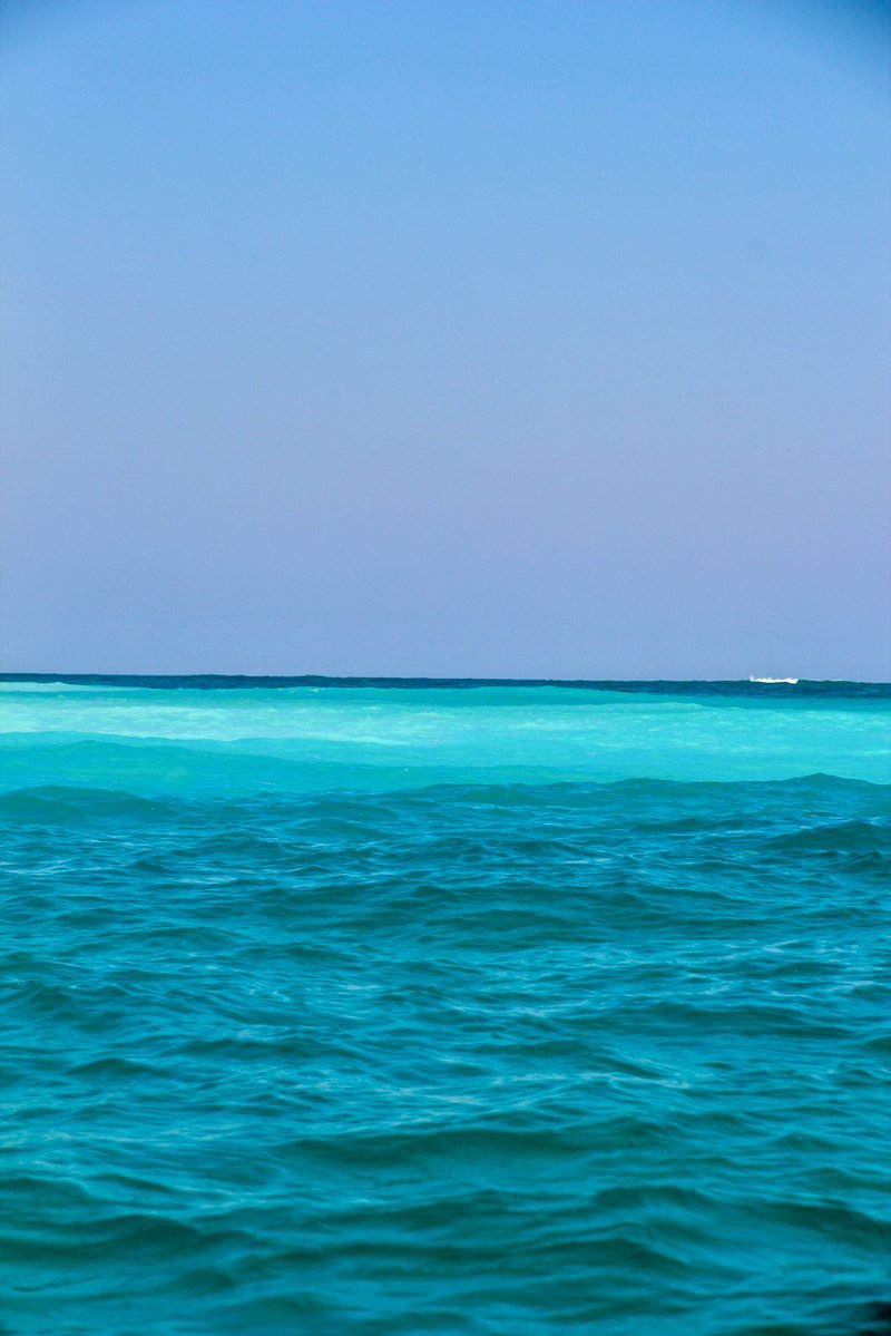 GlobeTucker92's tweet photo. Bélo sur mer à Madagascar 🇲🇬 😍
Un petit coin de paradis https://t.co/3Zz4DuuapH