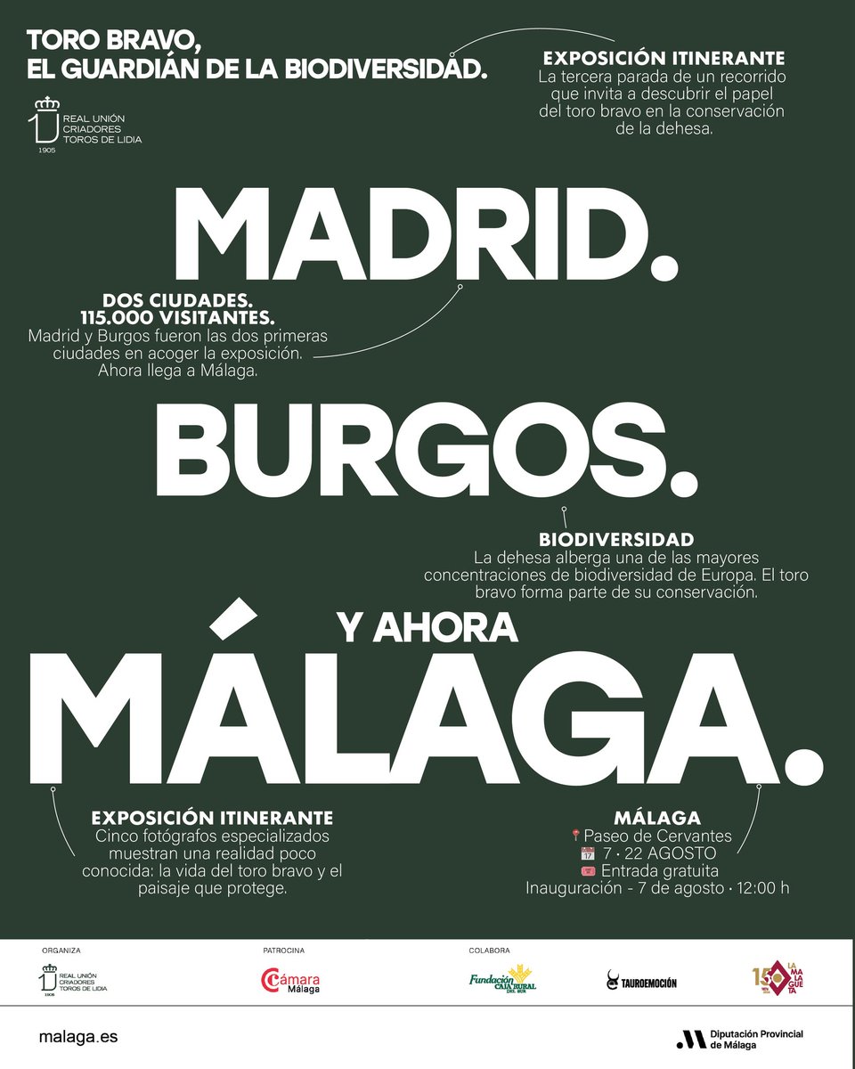 Toroslidia's tweet photo. Después de Madrid y Burgos, la exposición continúa su recorrido. Ahora es el turno de Málaga.

Del 7 al 22 de agosto, el Paseo de Cervantes acogerá "Toro Bravo, el guardián de la biodiversidad", una exposición fotográfica gratuita que invita a descubrir el papel del toro bravo en la conservación de la dehesa y de uno de los ecosistemas con mayor biodiversidad de Europa.

📍 Paseo de Cervantes (junto a La Malagueta)
📅 Del 7 al 22 de agosto
🎟 Entrada gratuita