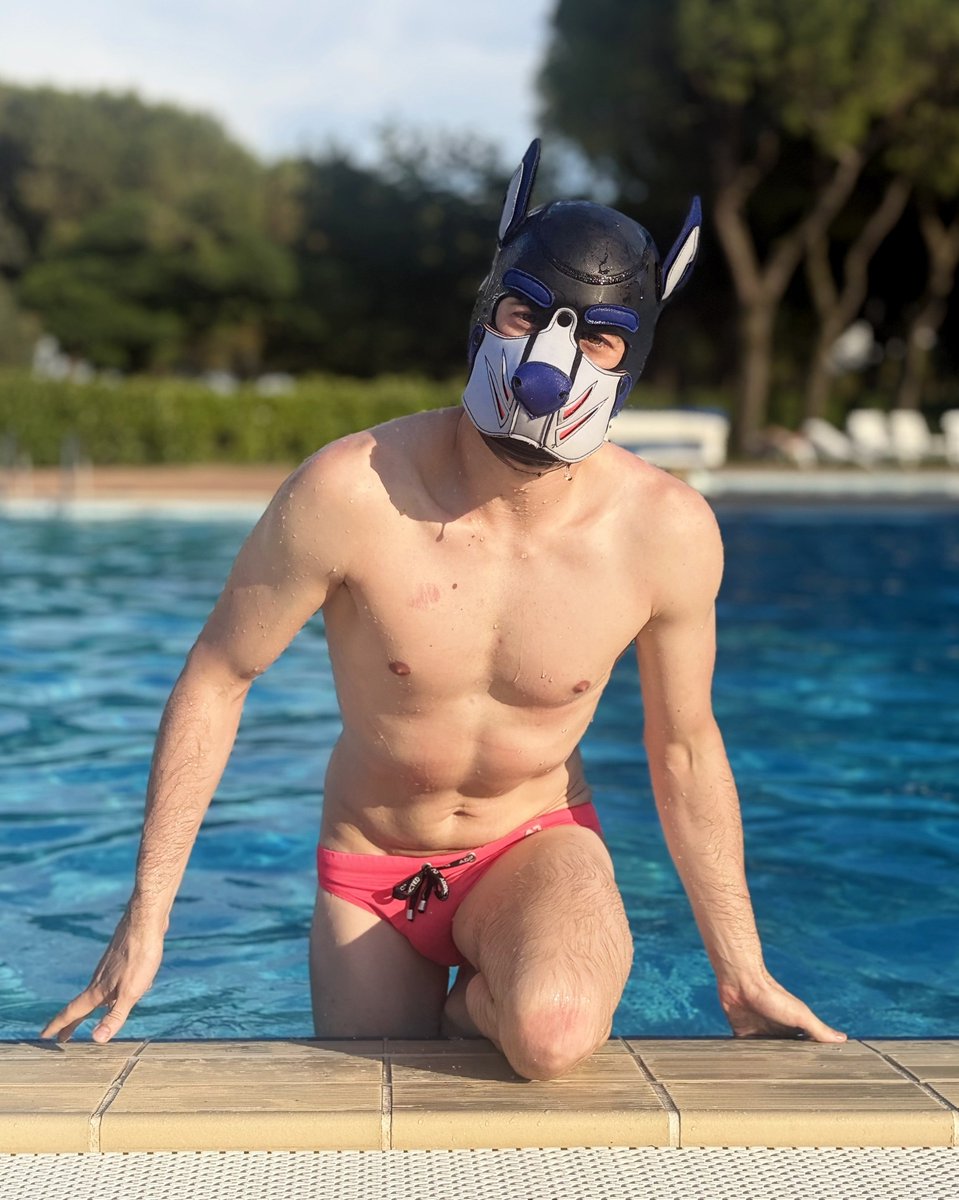 Pup_Chinotto's tweet photo. Wet dog and summer vibes https://t.co/tQQ9Yo1V3s
