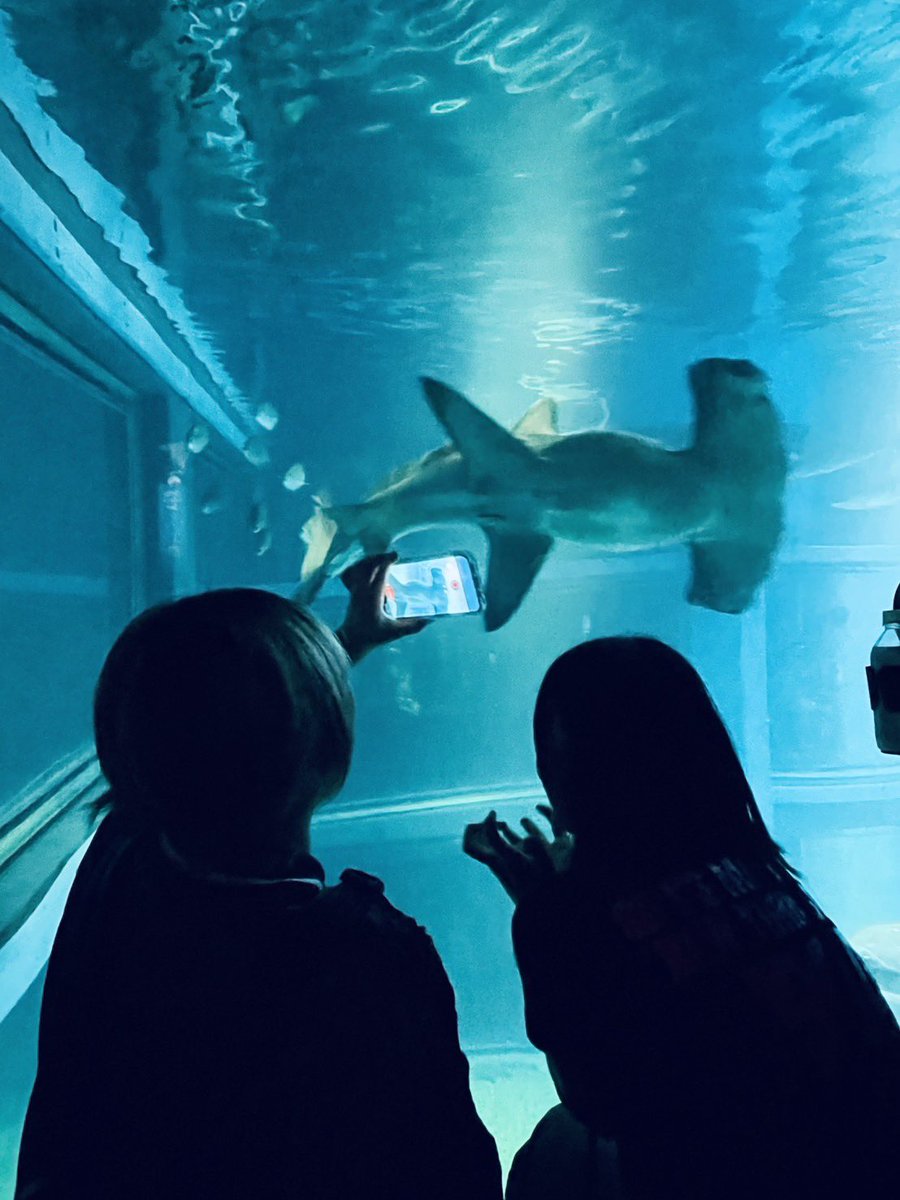 eriodesu's tweet photo. 楽しかったねー🐠🐟🐬🐳
また来月だねー🫰🏻 https://t.co/7oWxDCjYTN