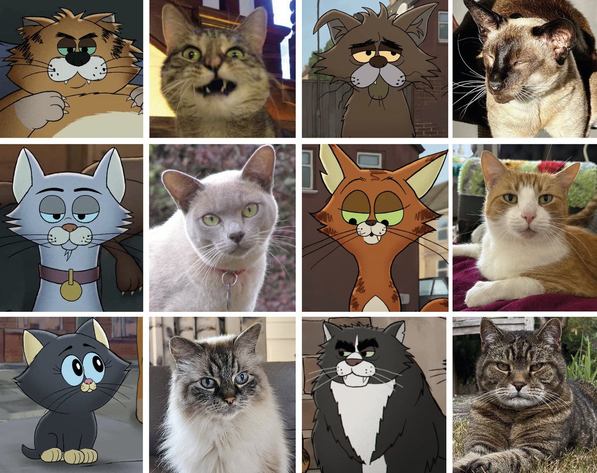 GonzotheCat1 tweet picture