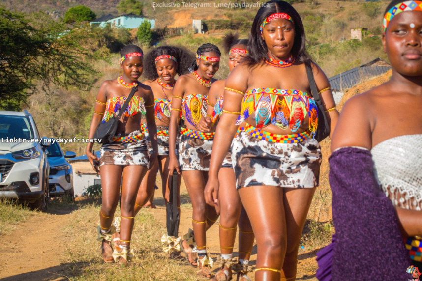 africa_herald's tweet photo. uMemulo is more than a ceremony โ it is a proud Zulu celebration of growth, family values, dignity, and cultural heritage. ๐ฟโจ
Through song, dance, attire, and blessings, a young woman is honoured by her family and community as tradition beautifully comes alive.
#uMemulo #ZuluTradition #AfricanCulture #ZuluHeritage #PaydayAfrica