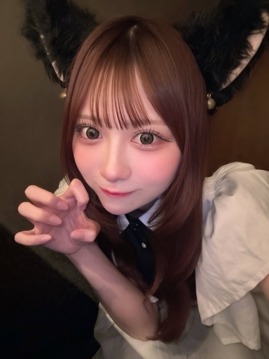 negi15_15's tweet photo. 🐈‍⬛🎀 https://t.co/jfINA26K4E