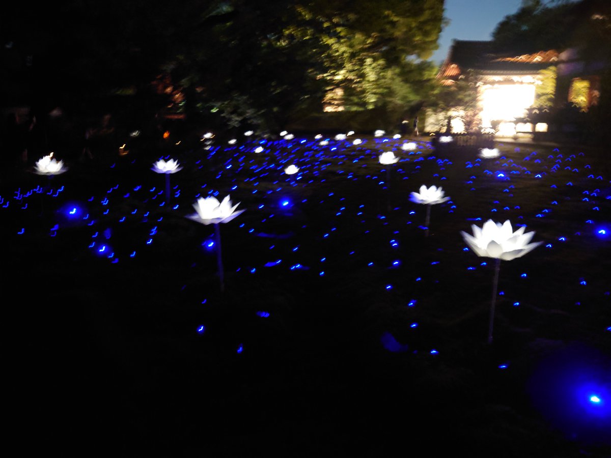 kaosuhaster's tweet photo. 京都　青蓮院 https://t.co/85uHLX6Jev