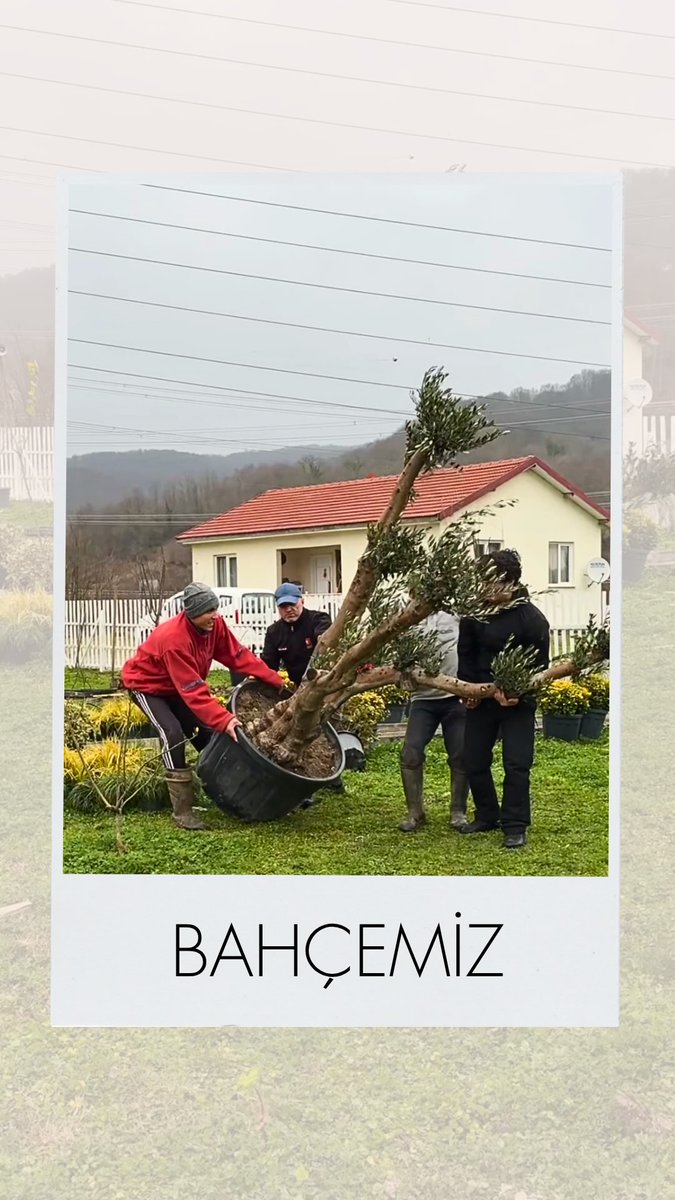 neseciftligi's tweet photo. https://t.co/4Ho7527fNd