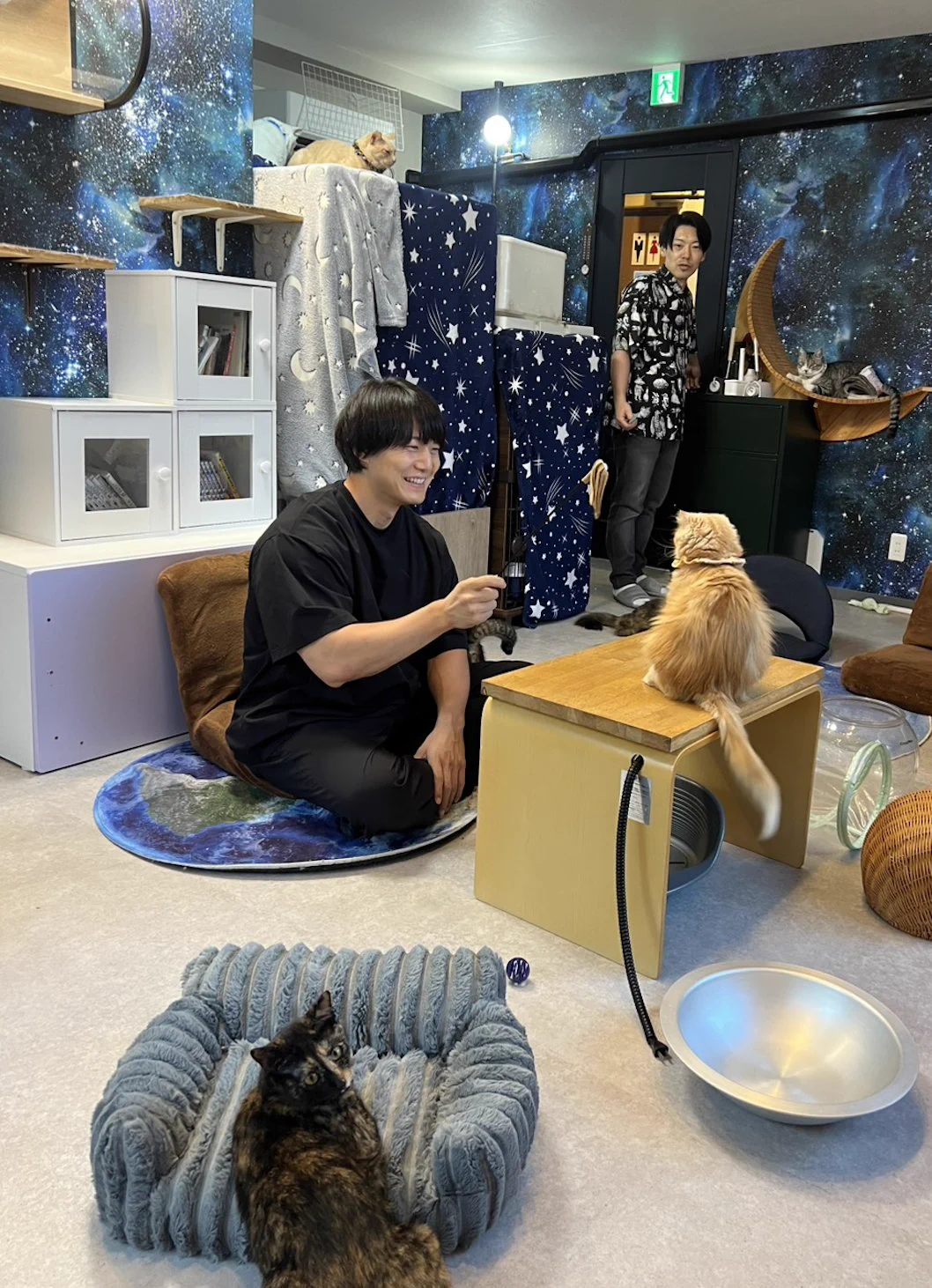 青木マッチョ on X: 