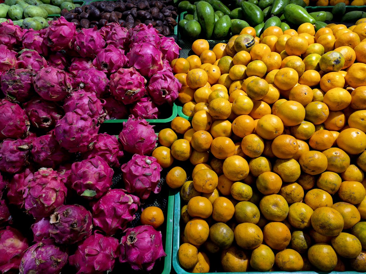 sambaIance's tweet photo. food re-stock https://t.co/6PwLEA0tnE