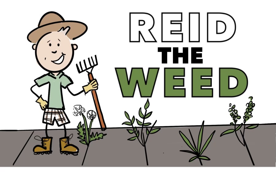 PLsportsnews's tweet photo. @hospitalradio @johngerrans @RDInUHP @UHPSiteServices @Skyline_Coach @UHP_IMT @VolunteeringUHP @olver25 @NHSP_Plymouth Geddon #Janners!
have a great Wednesday!
set to be another janner brammer! 🌞
am #weeding #gardening from eight mates...
going to be warm 😎
so factor in the Factor 50
#mightyfinePL9 #Plymouth #sunshinecity🌅 https://t.co/2CQsQTNsOB