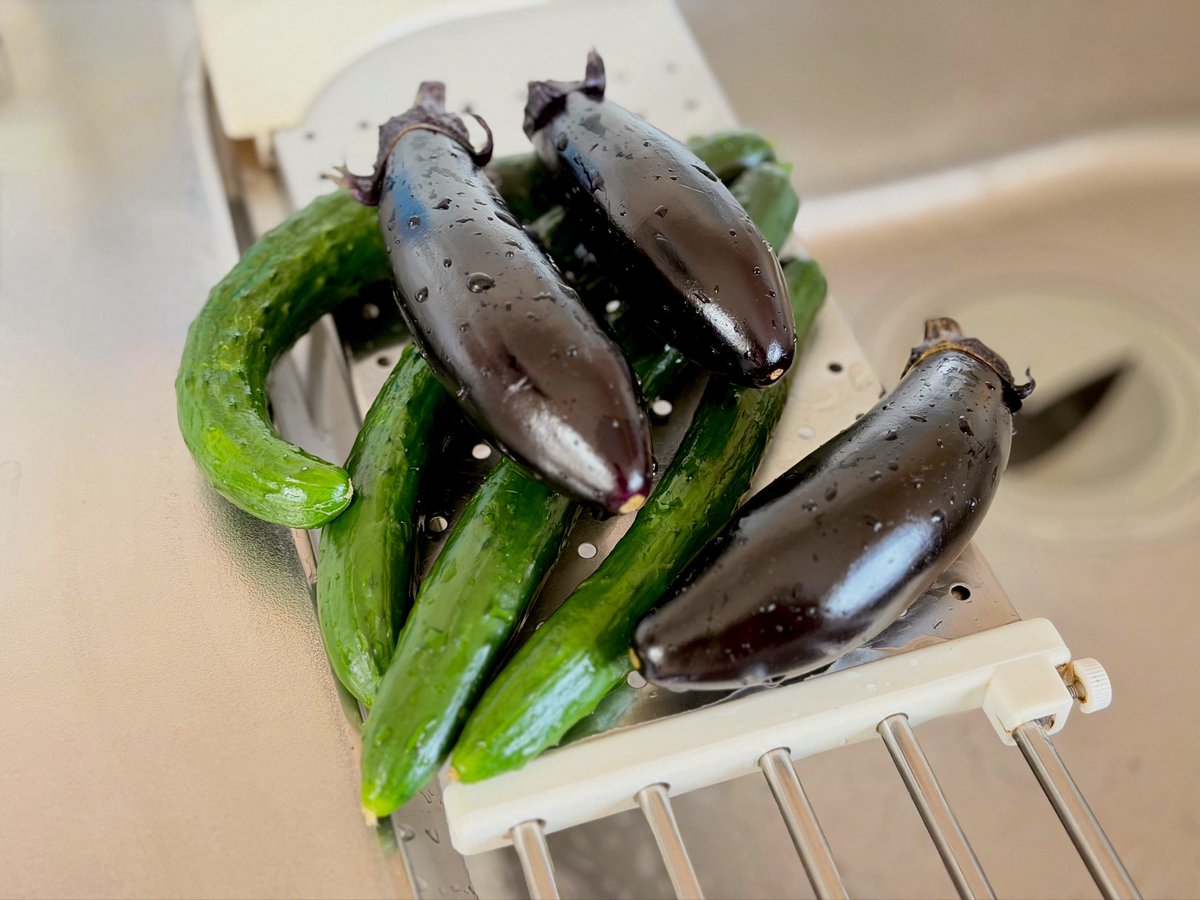 matomocchan's tweet photo. 🍆🥒🚿 https://t.co/RtqSz8aunI