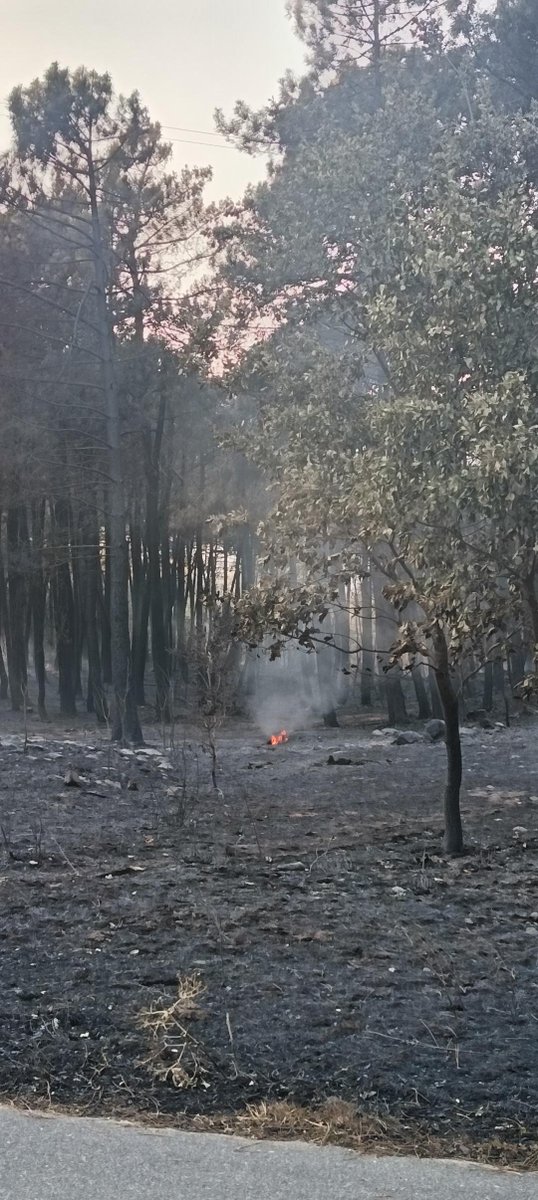 Meteoavila2's tweet photo. 🖤 Así ha quedado el entorno del camping de Casavieja de camino a la piscina natural. #Ávila 
#IFBurgohondo https://t.co/QIN1mQYZjx