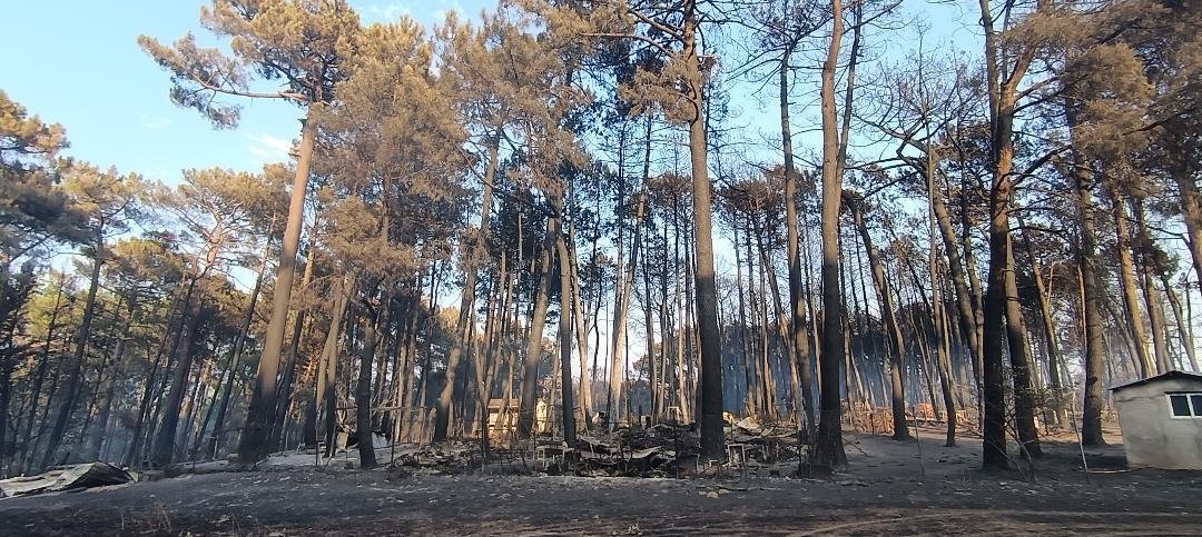 Meteoavila2's tweet photo. 🖤 Así ha quedado el entorno del camping de Casavieja de camino a la piscina natural. #Ávila 
#IFBurgohondo https://t.co/QIN1mQYZjx