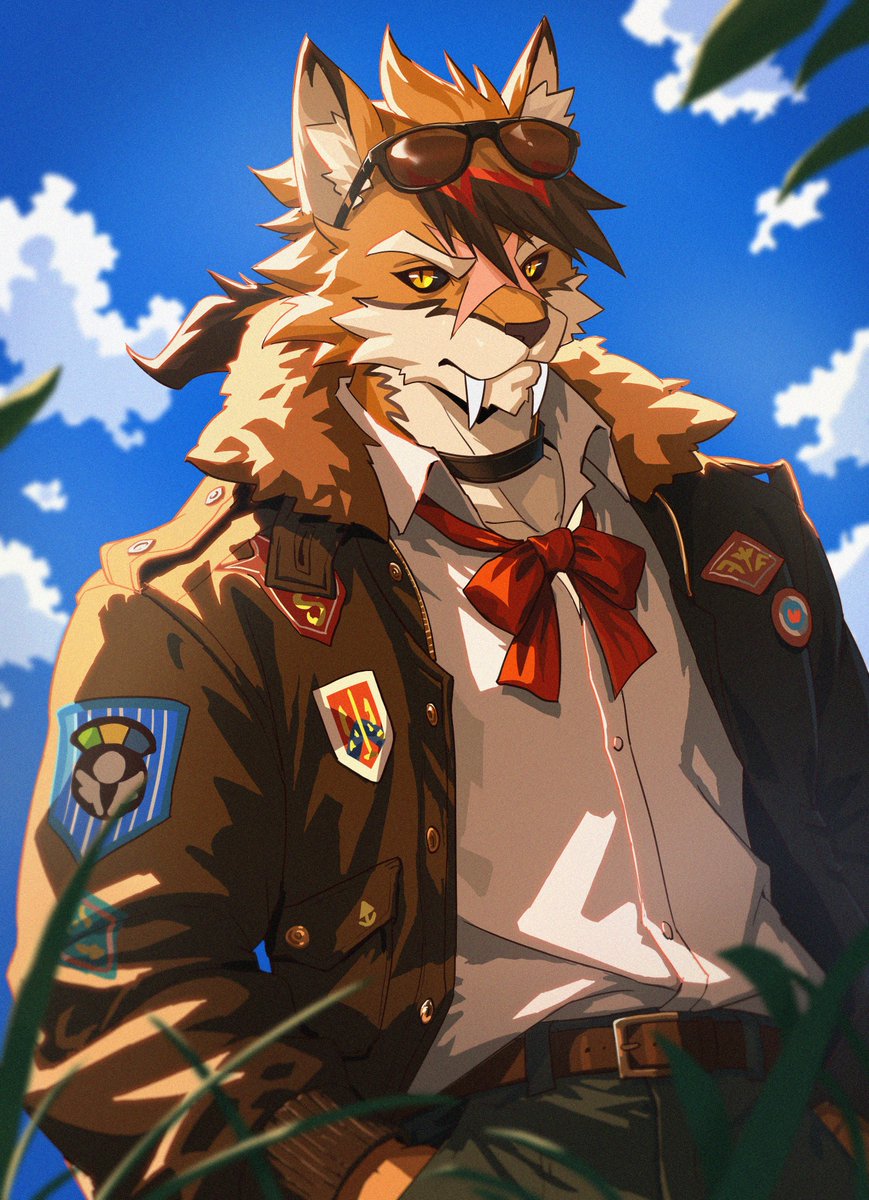 沙漠鱼 tweet media