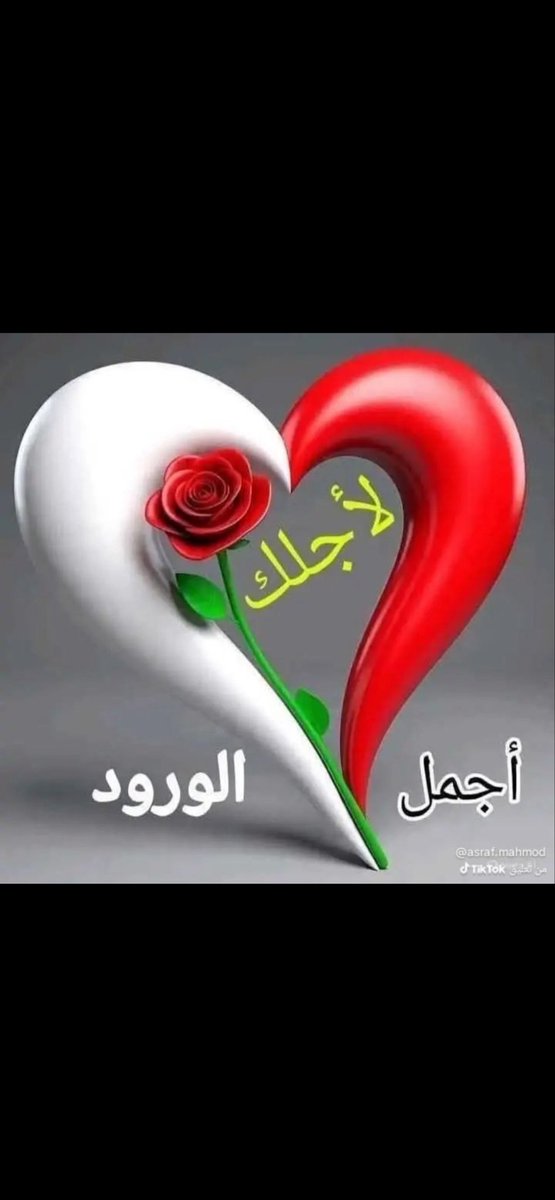 KyroAhamad's tweet photo. @nohaa_talal https://t.co/m3KtlaWGD2