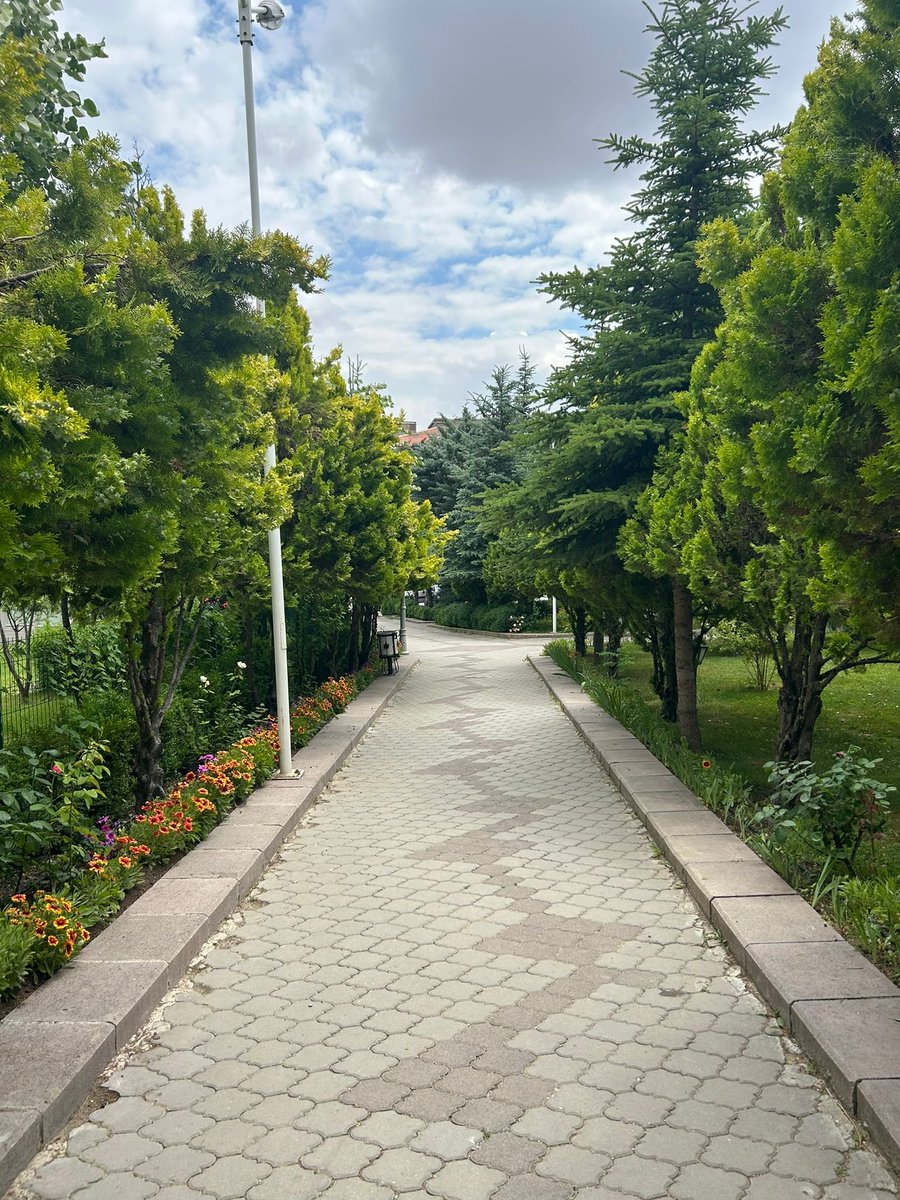 BesiktasTheBest's tweet photo. Yüksek dağlarda tabiatın baharda yeşile büründüğü gibi 
Çıplaklığından soyunarak
Tesettüre girmeli
Gül gibi narin olduğunu unutmadan
Anneannesi babaannesi gibi
Adı da Ayşe Fatma Hatice olmalı
Yaşamalı dinini hassasiyetle
Ehli sünnetten ayrılmadan... https://t.co/mPP3QCeCB1