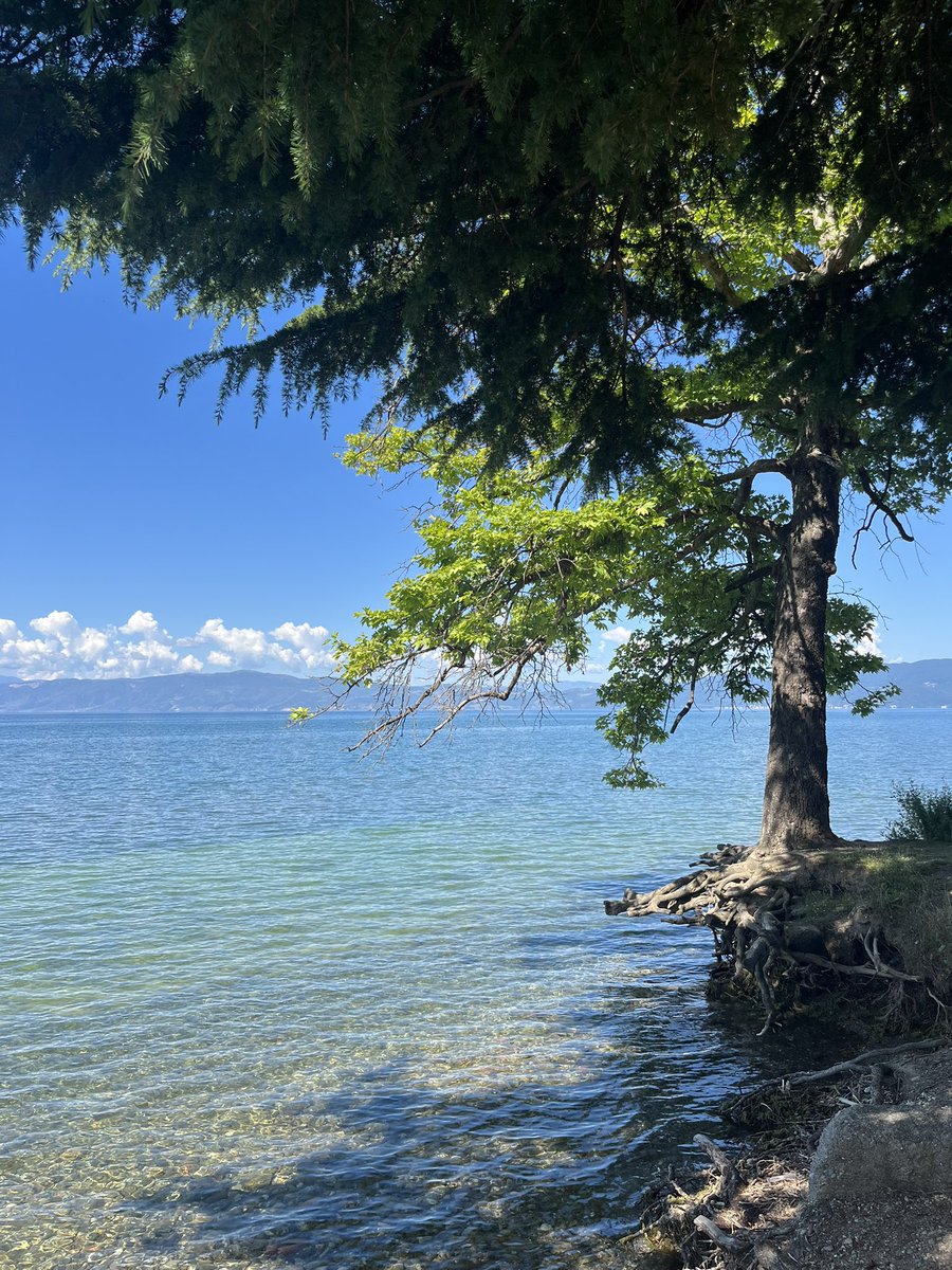 HappySnapper85's tweet photo. A beautiful day ☀️ https://t.co/EPaXKJqjyS