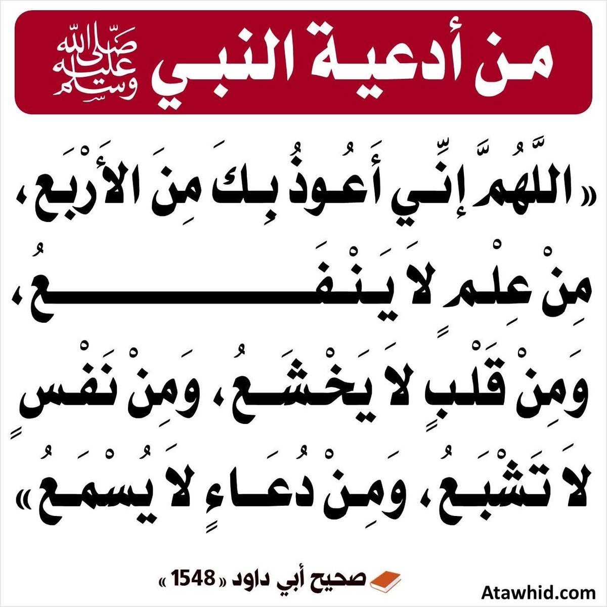 abualmur1's tweet photo. https://t.co/CVOEAdZvKd