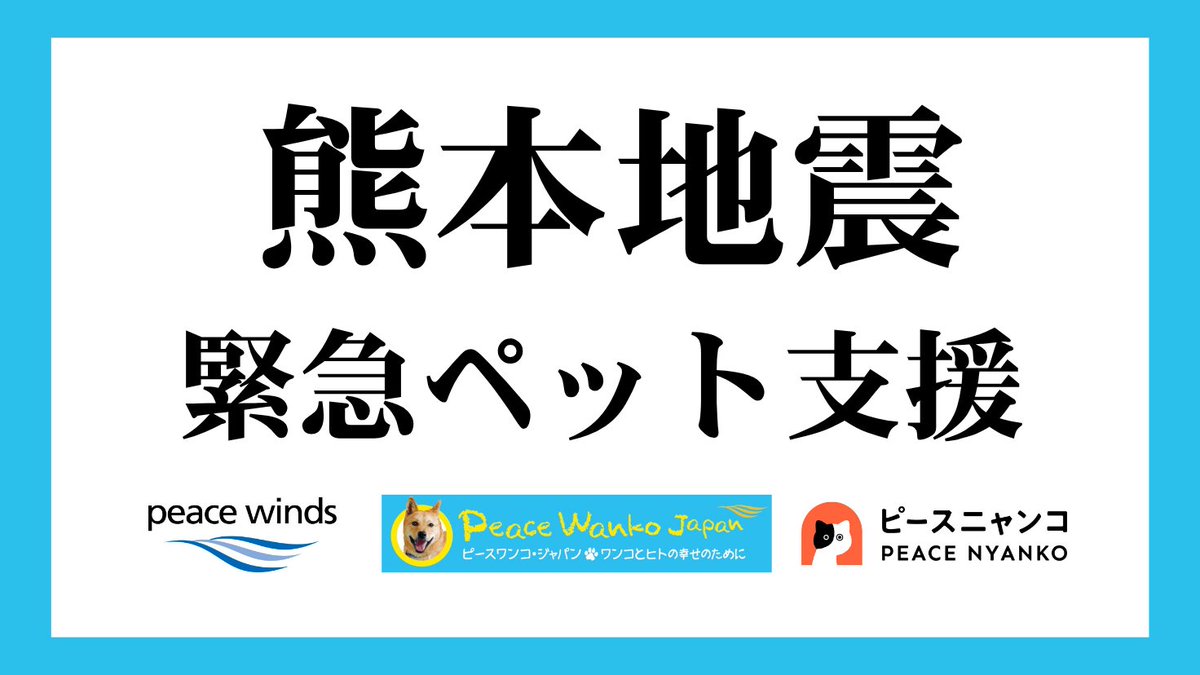 PeaceWankoJapan's tweet photo. ご寄付金の受付を開始しました。
29日11時、博多駅に被災地支援経験のある2名のスタッフが到着し
八代市役所へ向かっています。
熊本への応援を、よろしくお願いいたします。
https://t.co/7uESGbm6mo https://t.co/CA9woSJCGN