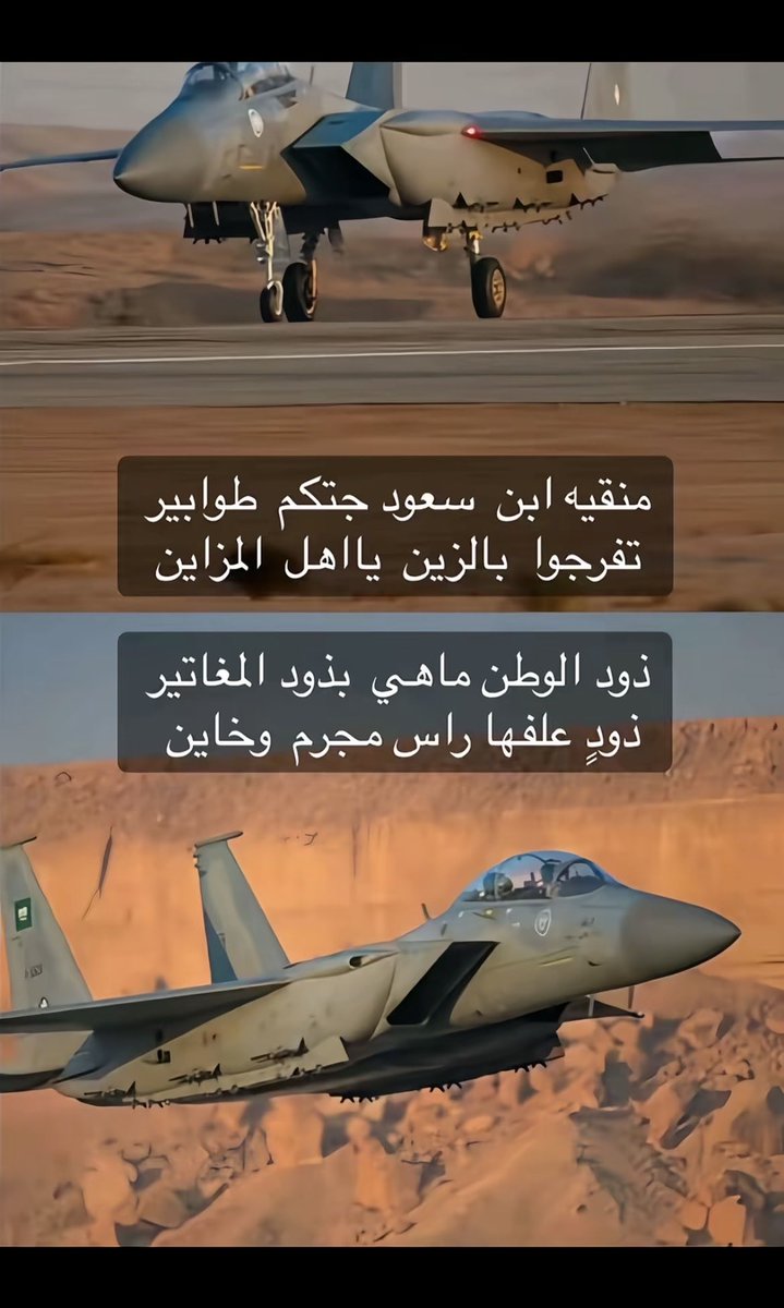 aldossary01's tweet photo. #السعوديه_خط_احمر https://t.co/91duRaropV