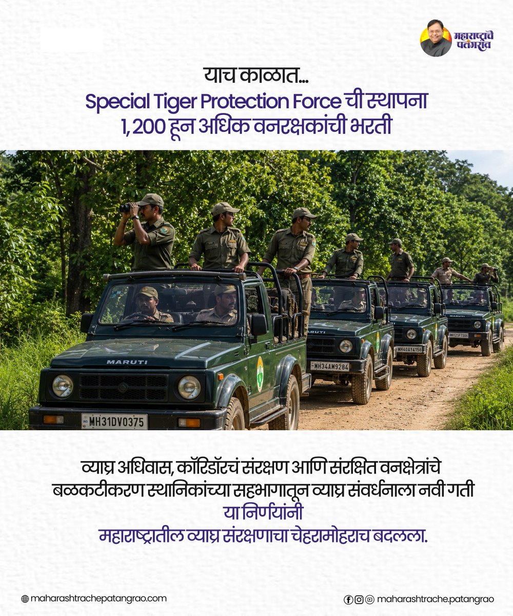 LegacyOfsaheb's tweet photo. महाराष्ट्र कसा ठरला "India's Best Tiger State" ? 

२०१२ मध्ये महाराष्ट्राला हा राष्ट्रीय सन्मान मिळाला... या यशामागे होते दूरदृष्टीचे निर्णय, प्रभावी व्याघ्र संवर्धन आणि स्व. डॉ. पतंगराव कदम साहेबांचे नेतृत्व.

जाणून घ्या हा अभिमानास्पद प्रवास... ➜

#worldstigerday https://t.co/QyCFjvHWmp