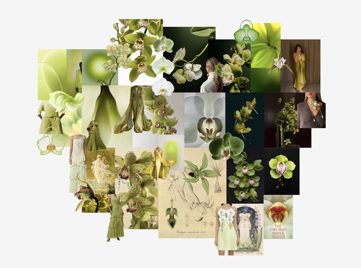 jiinlarakim's tweet photo. Day 3 of Visual Affinitization

[Green Orchids]
- JW PEI Flora orchid-shaped bag
- https://t.co/InZqDCWxRQ scientific illustration
- Green orchid photography from https://t.co/vOb8NJ5zVZ https://t.co/mjyl47tDpX