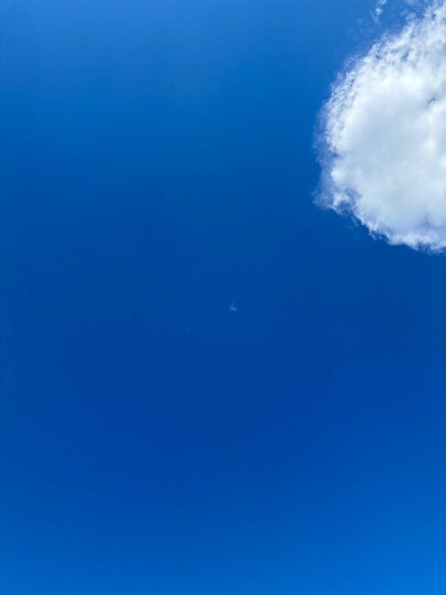 rdne29237677's tweet photo. 夏 https://t.co/MkCSPECexI
