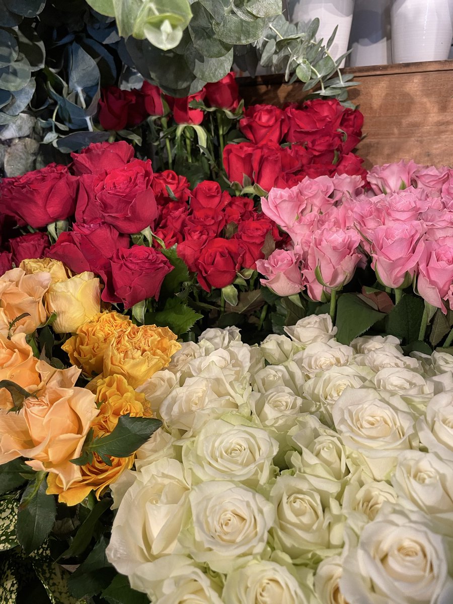 FlowerS48901380's tweet photo. 今日も日差しが暑いですね🥵
屋内でも熱中症になりますのでこまめに水分補給をしてくださいね😄
夏を彩るお花が続々と入荷しています🌿お盆のお供え花やお墓参り用のお花もご予約受付中です🌻皆さまのご来店を心よりお待ちしております💐 #花屋 #近くの花屋 #水元 #お盆
#夏のお花 https://t.co/SgNc87YPm0