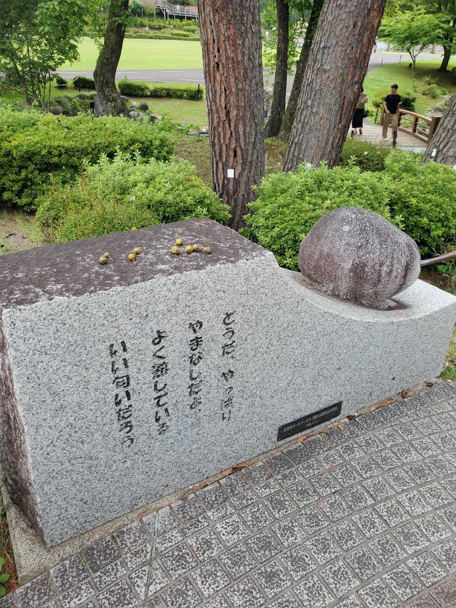 kankohanamaki's tweet photo. 今の季節は、教科書にも載っている宮沢賢治作品「やまなし」に登場する実際の「やまなし」が落ちていました✨
小さくて丸くてとってもかわいいですね🎶

📍宮沢賢治童話村にて
#岩手 #花巻 https://t.co/d4zfTQ3ufn