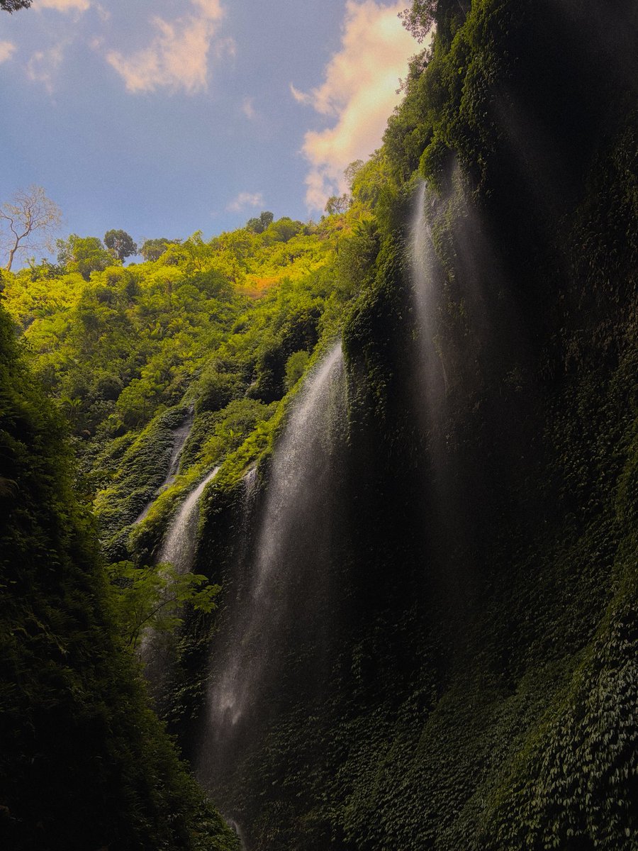 GGale__'s tweet photo. Madakaripura Waterfall
เดินลอดน้ำตกเพื่อไปดูน้ำตกอีกที https://t.co/K5VdjBLkTN