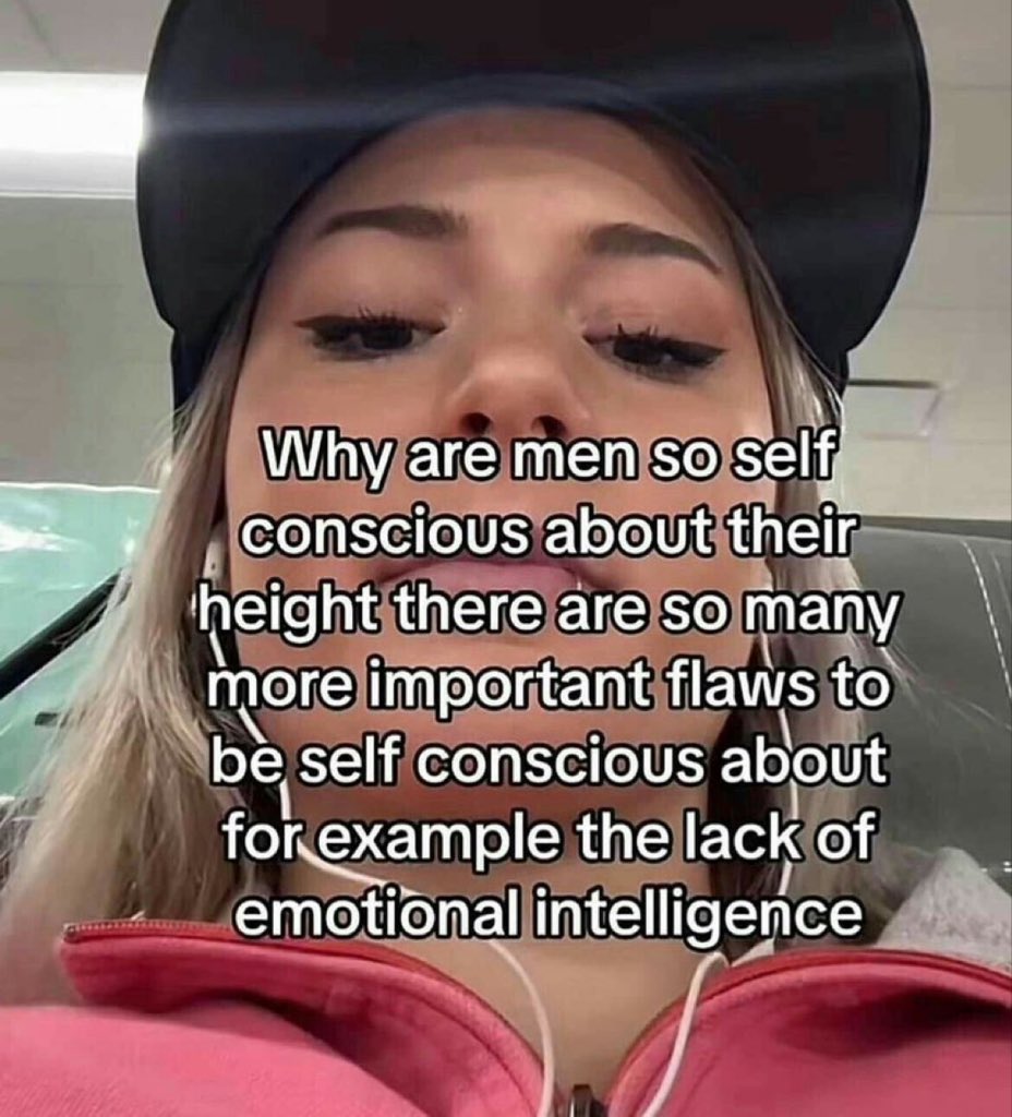 ˚₊ tweet media
