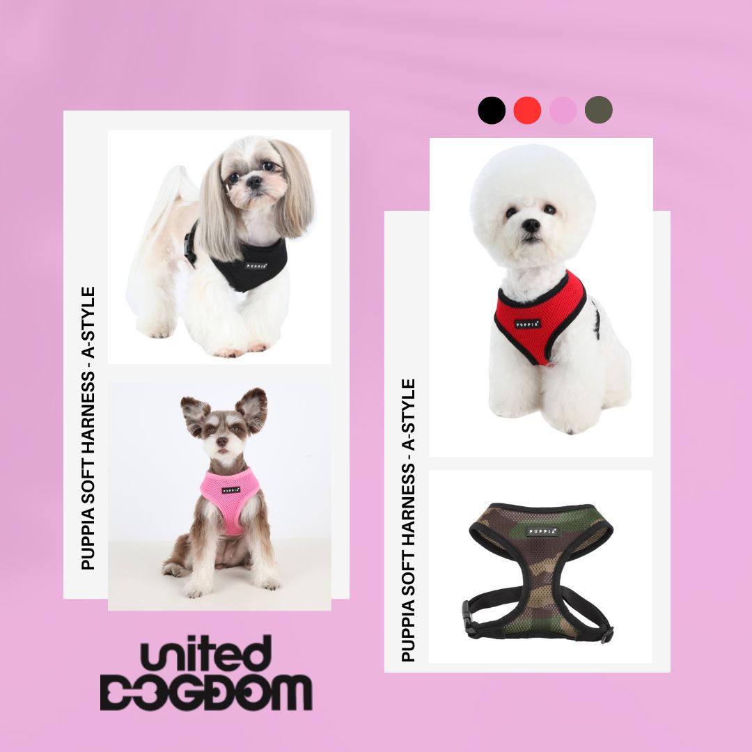 UnitedDogdom's tweet photo. Soft, warm &amp; luxurious - the Puppia soft #dog harness will have your #FurBaby looking #stylish. 🐶🐾 https://t.co/hmFdtcsMqY Happy #Woofwoofwednesday
.
.
#dogwalk #dogsoftwitter #thepetsbiz #DogAccessories #londonislovingit #pets @goodvetandpetguide #doglife #dogsofgreatbritain https://t.co/5dsvYh91U4