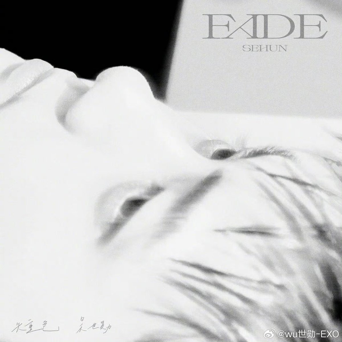 reveusehun's tweet photo. Sehun posted about FADE (失重色) on his Weibo account.

"A gift for you all 🧡"

WELCOME TO THE FADE ERA
#SEHUN_FADE #SEHUN #세훈 https://t.co/eYgtl6prBE