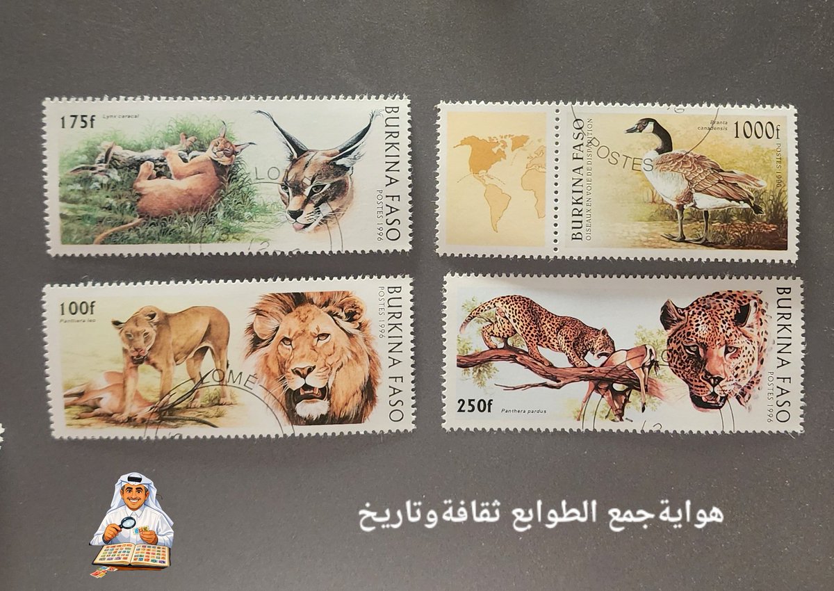 mfgahtany's tweet photo. طوابع بريديه اصدرها البريد في بوركينا فاسو،  عام 1996، وهي مجموعة من الحيوانات البرية التي تعيش في إفريقيا، مع رسومات فنية دقيقة تجمع بين الحيوان في بيئته الطبيعية وصورة مقربة لرأسه. https://t.co/kVTKSv4JgC