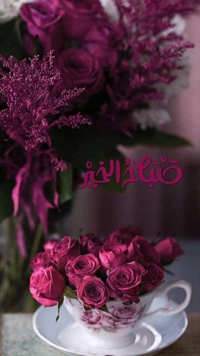 WBrKbeOaXBynqlb's tweet photo. صباح الخير ..🍃

اللّهمّ جمّل صباحنا بذكرك،
 وعفوك، وتوفيقك، 
وبركتك، ورضاك عنّا ،
 اللّهمّ بك أصبحنا
 وعليك توكّلنا وأنت خير الحافظين ..

#صباح_الخير
#صباح_الخير_والسعادة https://t.co/czpj6MoDrG