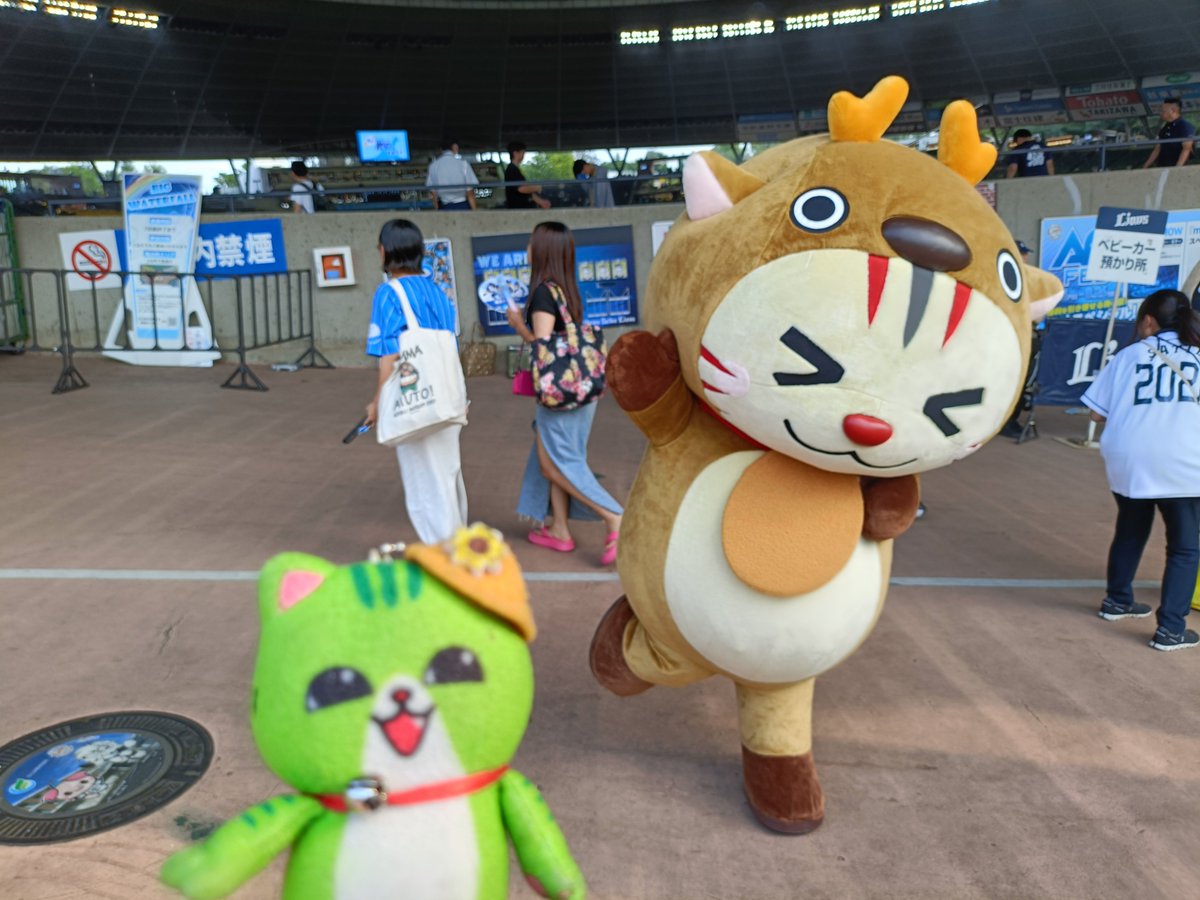 noraneko_pj's tweet photo. 誰くんかにゃあ？🐱🫎 https://t.co/PMtXxzoJa7