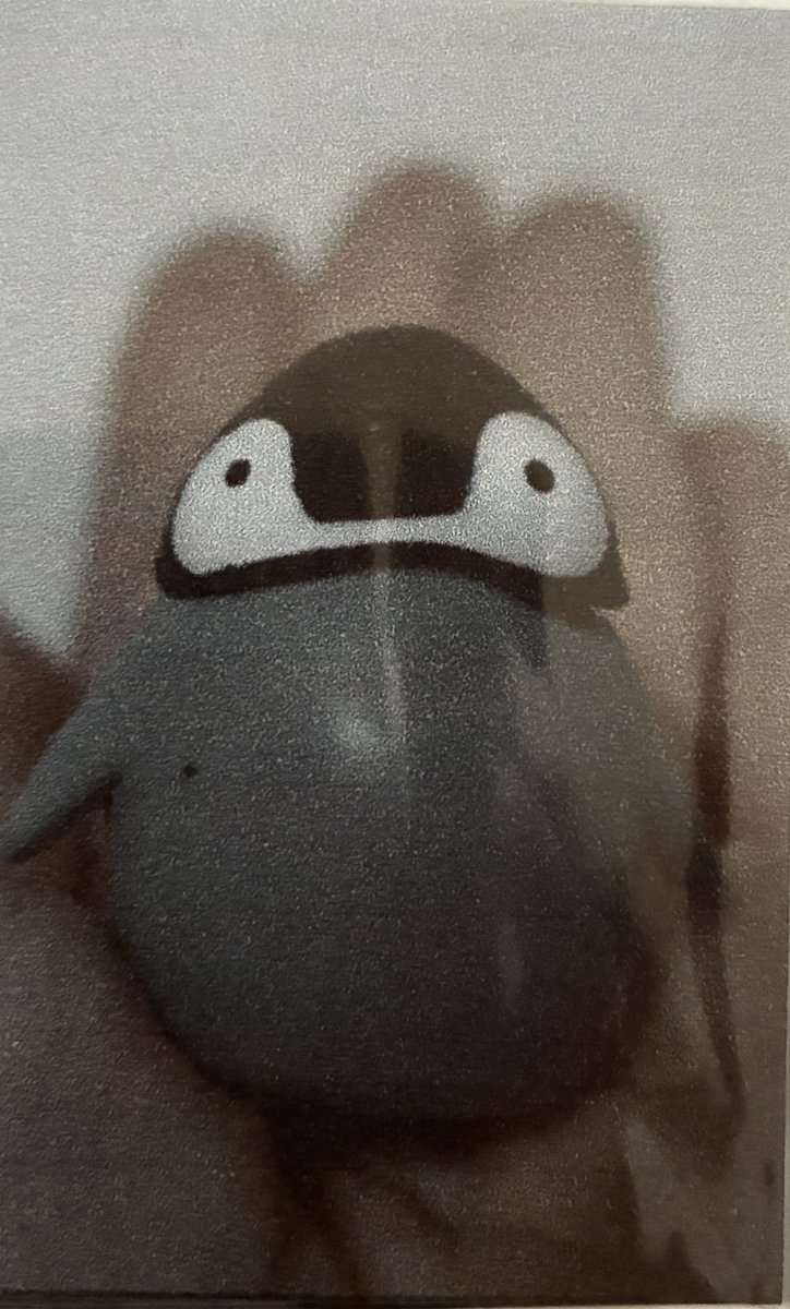 pengwingparade's tweet photo. AWWWW WHOEVER SENT THIS THANK YOUUU I LOVE ITTT they kinda remind me of another penguin i left back in my home country so the only pic i can show is frm the penguin photo album </33 but look they have similar vibes !! https://t.co/FO0pcYyoUi