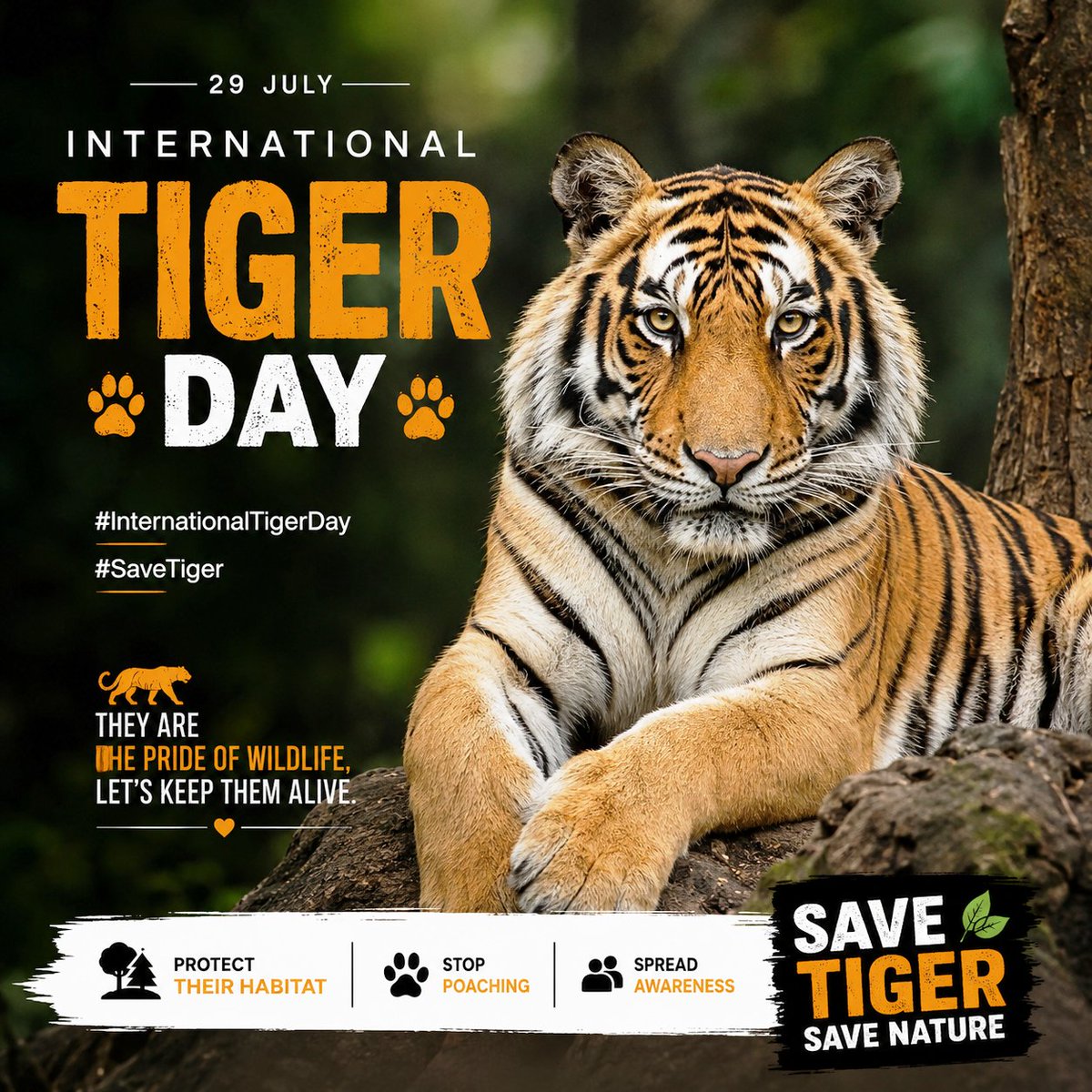 gristvikash's tweet photo. Tigers are more than the pride of our forests; they are the guardians of nature's balance.
This #InternationalTigerDay, let us unite to protect these magnificent creatures &amp; preserve our rich biodiversity for generations to come.
#SaveTiger #SaveWildlife
@BandhavgarhTig2 https://t.co/tiJphX8UOx