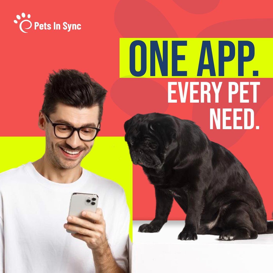 Petsinsync tweet picture