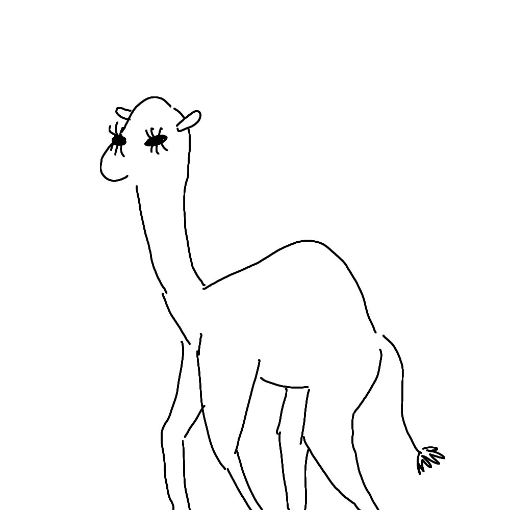 723haiji's tweet photo. こないだ描いたラクダ割りと気に入ってます https://t.co/t1uNZIjFtE