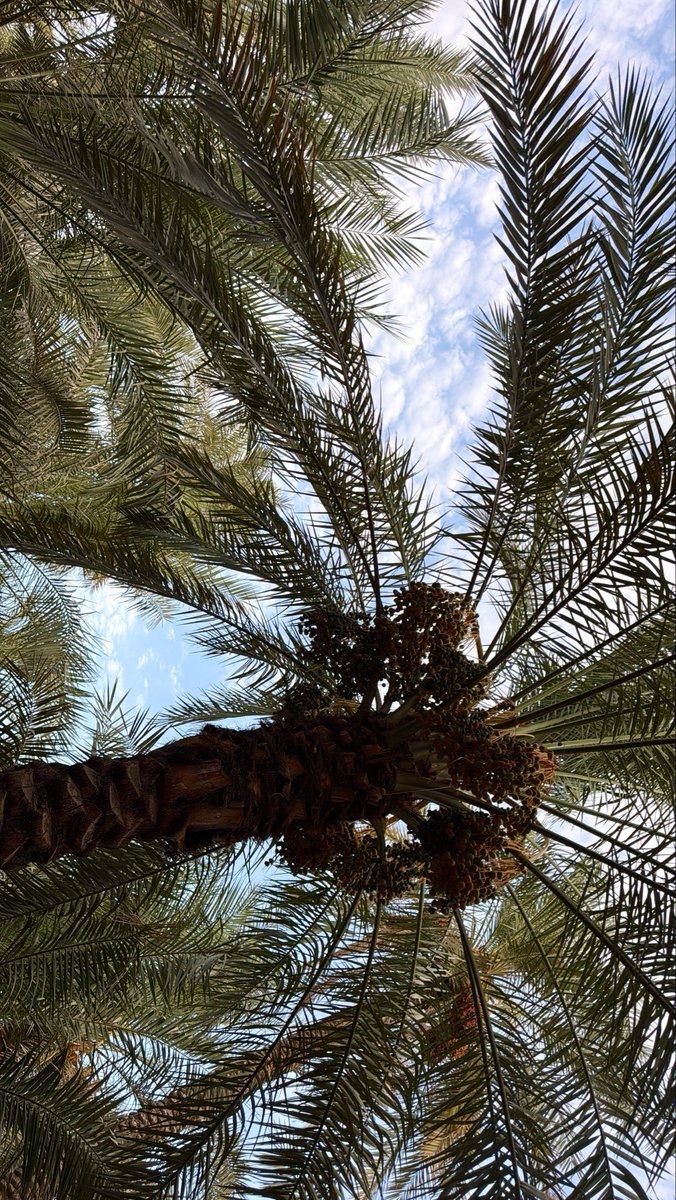 sure8am's tweet photo. Lovely day 🫧 https://t.co/xrfX7BK1D7