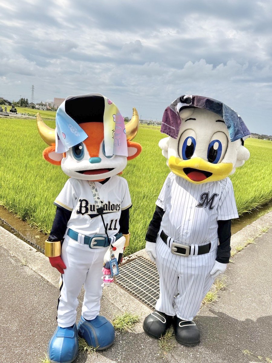 bullbell_B's tweet photo. #マイナビオールスターゲーム2026 第2戦⚾️

富山ついたよ〜ちょいとマーくんと
さんぽしてきたよ😙お米いっぱい
なるようにねがってきた🌾🍙

#糸井嘉男 さんもいたよー😆

きょうはあついからみんなすいぶん🥤
いっぱいとって1日たのしもーねー🎶

#ブルベル15周年 
#Bs2026 #NPB #プロ野球 #ORIX https://t.co/OQp8Ql8QnX