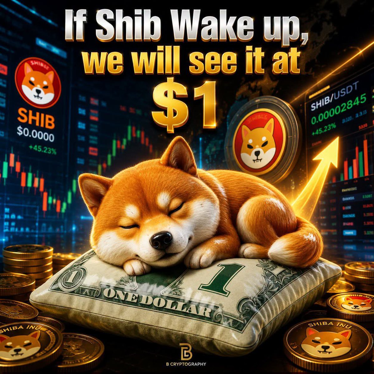 SHIBpossessor's tweet photo. $SHIB has been sleeping since 2022. 
Is time to wake him up.

#shib https://t.co/SVUIYuCRpl