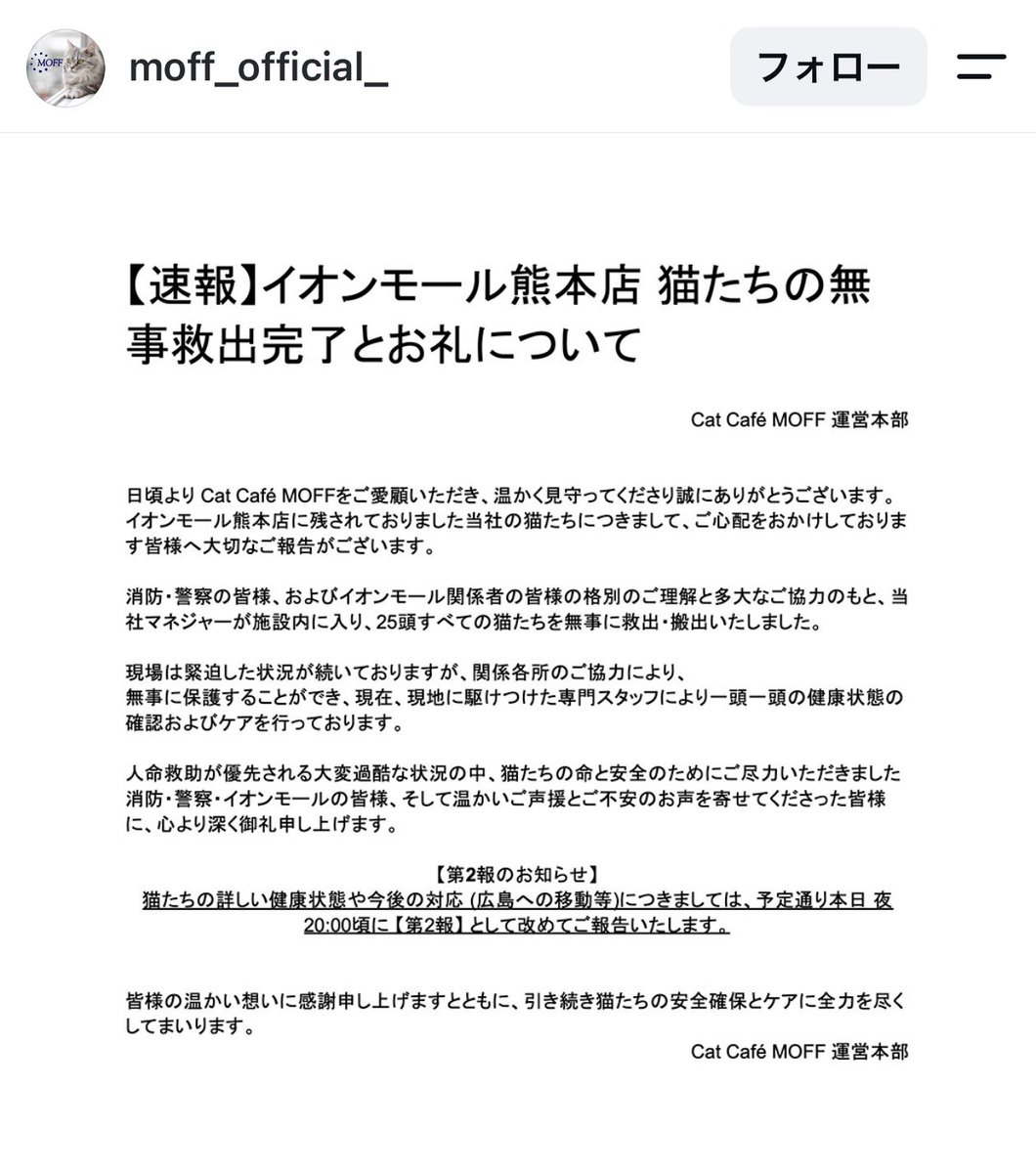 fraisedouce333's tweet photo. あぁ、本当によかった…

イオン熊本の猫カフェの猫ちゃんたち、全員救出されたとのこと。 https://t.co/eIYHwOfjol