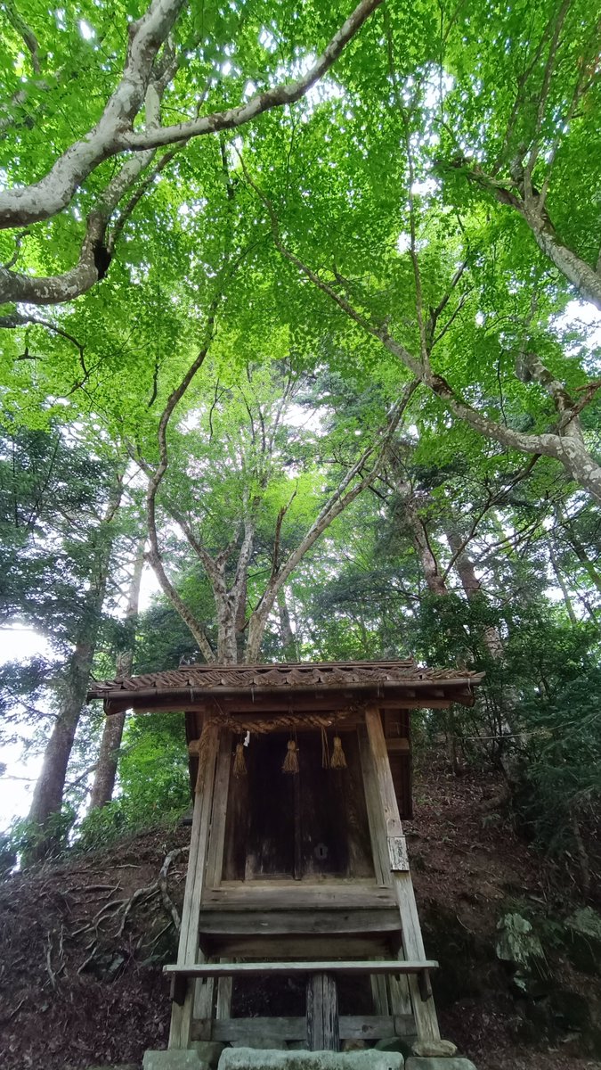 asianticjp's tweet photo. ２０２７年の石見銀山は、発見から５００年と世界遺産登録２０周年を同時に迎えます。
久喜銀山の問い合わせも増えてきています。
本日は大林を散策しながら撮影。
来月は３回目のワンコインガイドに参加して、まだ訪ねたことがない場所へ行けたら…と思っています。

撮影場所
島根県邑南町大林 https://t.co/OpfMXwOdBI