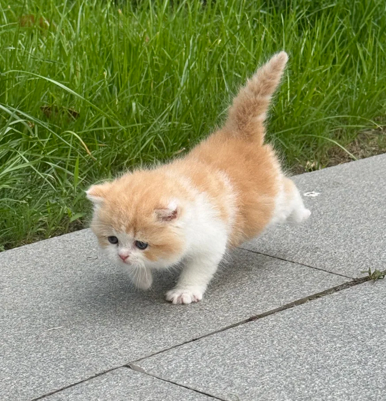 fuzzyluvbugg's tweet photo. 你好新成员 多多指教 https://t.co/E0zbzLHiSv