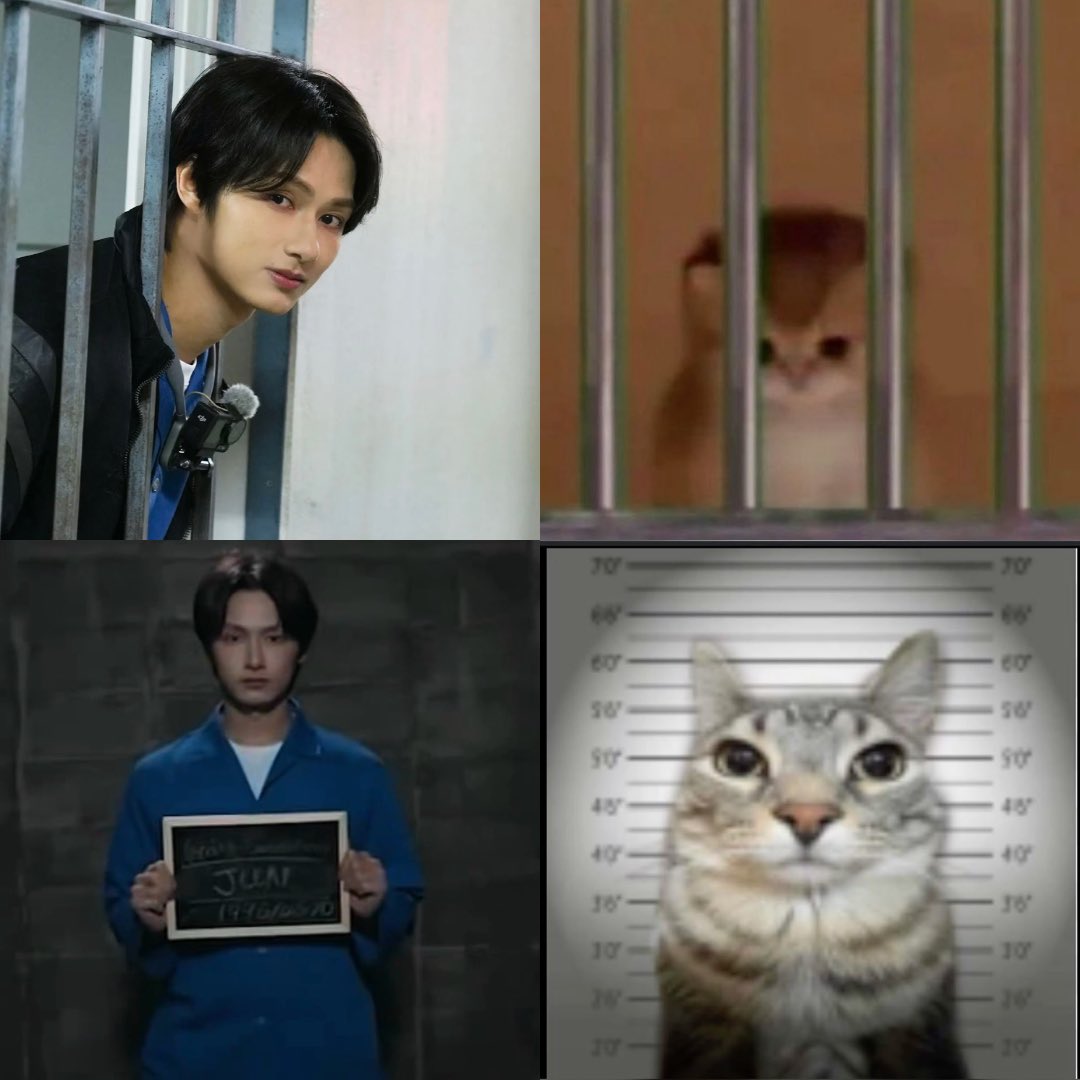 YasmeenOne's tweet photo. cat goes to jail https://t.co/rFv8xI9s6k